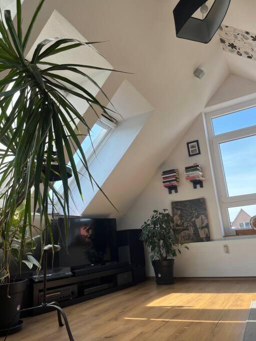Gemuetliche Wohnung Mitten In Esens Kültér fotó